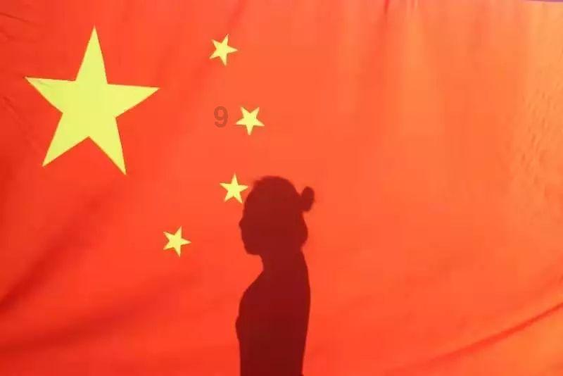 奥日与黑暗森林